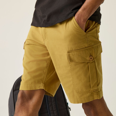 Pantaloncini da uomo Regatta Ruwan Shorts