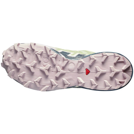 Scarpe da donna Salomon Speedcross 6 Gore-Tex