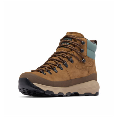 Scarpe da trekking da uomo Columbia Newton Alpine Pt™