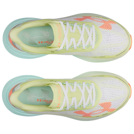 Scarpe da uomo Under Armour Velociti Distance