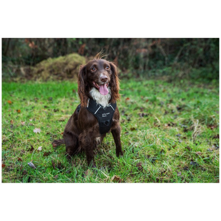 Pettorina per cane Mountain Paws Dog Harness