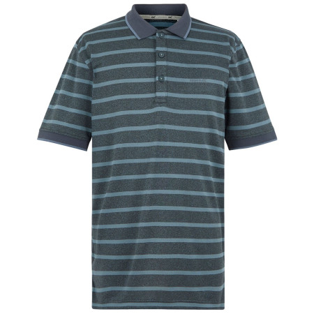 Maglietta da uomo Regatta Kildra grigio StormyWeathr