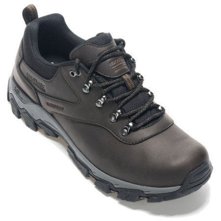 Scarpe da uomo Regatta Holcombe Classic Low