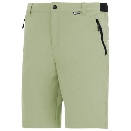 Pantaloni da uomo Regatta Anti-Insect Travel Light Z/O Trousers
