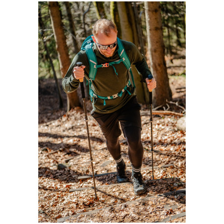 Bastoncini da trekking Zulu Hiker Carbon Lock