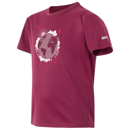 Maglietta da bambino Regatta Alvarado IX