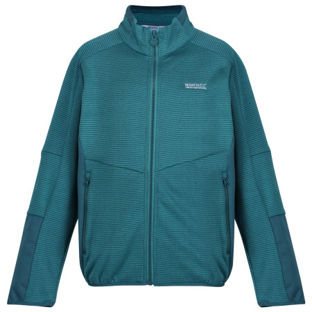 Felpa da bambino Regatta Highton WtrFZ III azzurro Pagoda/Drgnf