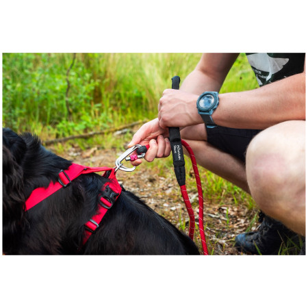 Guinzaglio per cane Mountain Paws Rope Dog Lead
