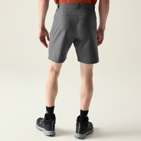 Pantaloncini da uomo Dare 2b Torrek II Short