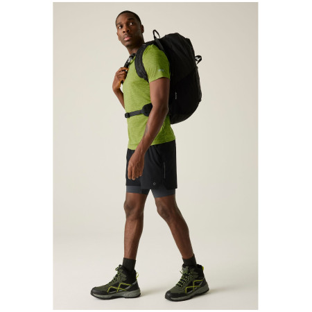 Maglietta da uomo Regatta Fingal Edition