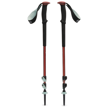 Bastoncini da trekking Black Diamond Trail Trekking Poles