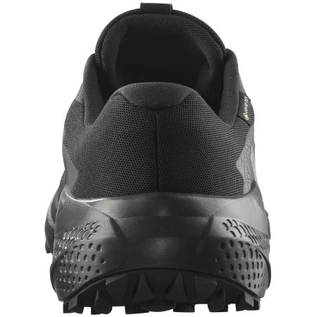 Scarpe da uomo Salomon Alphaglide Gore-Tex