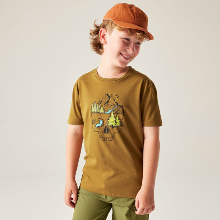 Maglietta da bambino Dare 2b Trailbazer III Tee Dark Cumin