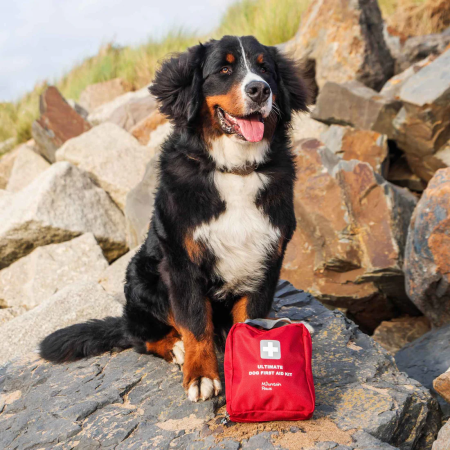 Kit di pronto soccorso per cani Mountain Paws Ultimate Dog First Aid Kit