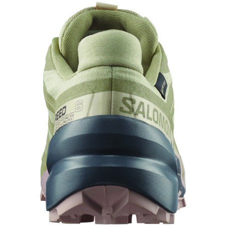 Scarpe da donna Salomon Speedcross 6 Gore-Tex