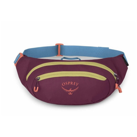 Marsupio Osprey Daylite Waist Pack