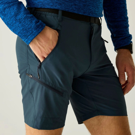 Pantaloncini da uomo Regatta Xert Stretch Shorts