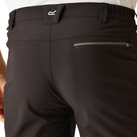 Pantaloncini da uomo Regatta Xert Stretch Shorts III