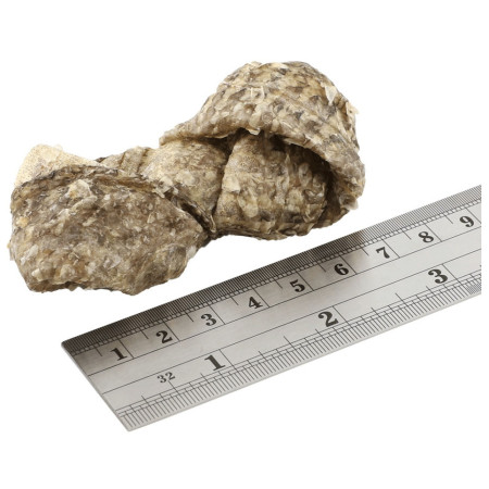 Snack per cani Fish4Dogs Dental Sea Jerky Fish Knots 100g