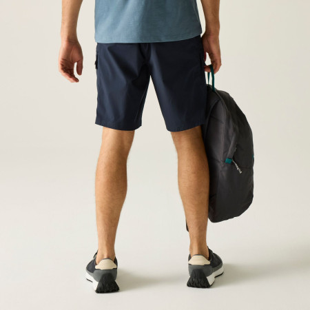 Pantaloncini da uomo Regatta Arlery Shorts