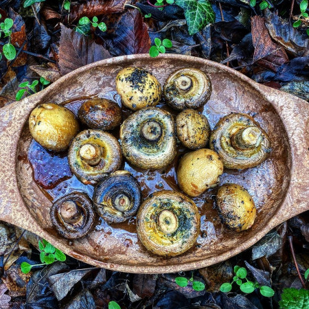 Come cucinare all'aperto
