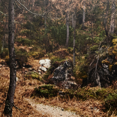 Che cos'è il bivacco