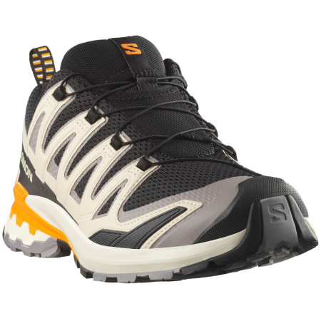 Scarpe da uomo Salomon Xa Pro 3D V9
