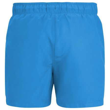 Costume da bagno da uomo Regatta Mawson Swim Shorts III