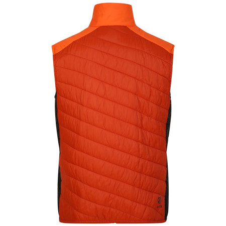 Gilet da uomo Dare 2b Touring Gilet