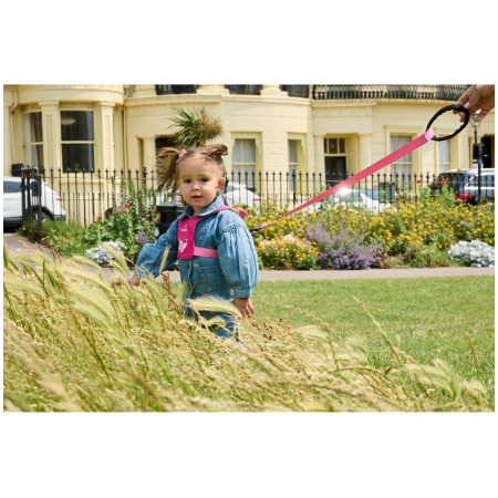 Redinelle di sicurezza LittleLife Toddler Reins Butterfly