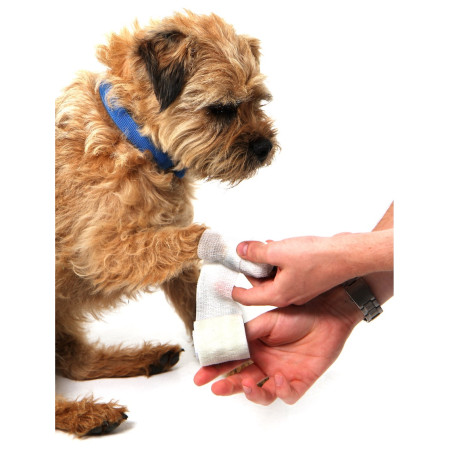 Kit di pronto soccorso per cani Mountain Paws Dog First Aid Kit