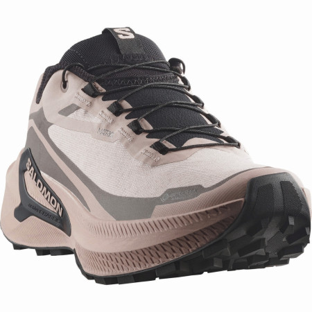Scarpe da corsa da donna Salomon Genesis 2 Gtx W