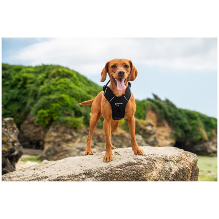 Pettorina per cane Mountain Paws Dog Harness