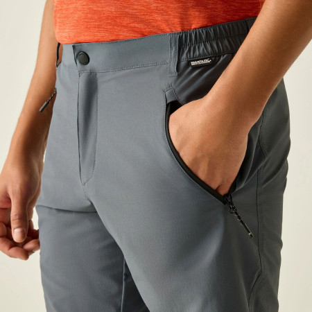 Pantaloncini da uomo Regatta Xert Stretch Shorts