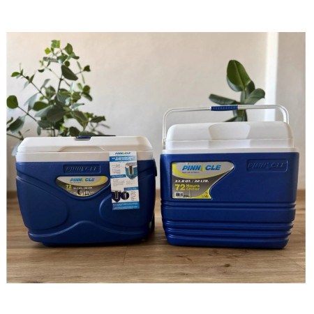 Frigorifero portatile Pinnacle Prudence 30L