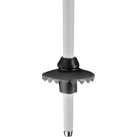 Bastoncini da sci Leki Stella S (2022)