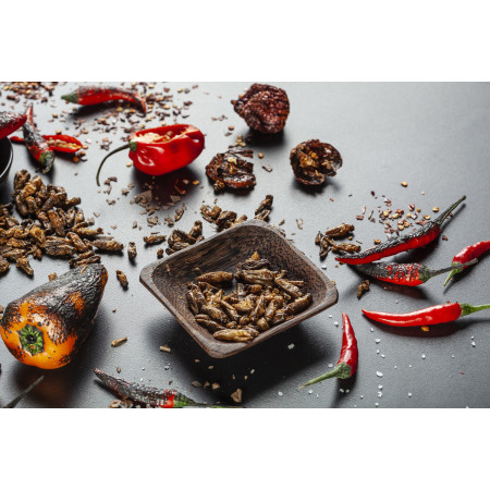 Grilli commestibili Sens Grilli croccanti piccanti & arrostiti - Set regalo da 4 gusti