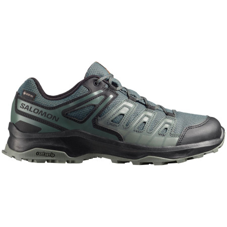 Scarpe da trekking da uomo Salomon Extegra Gore-Tex