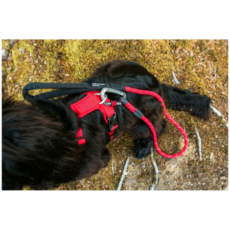 Pettorina per cane Mountain Paws Dog Harness