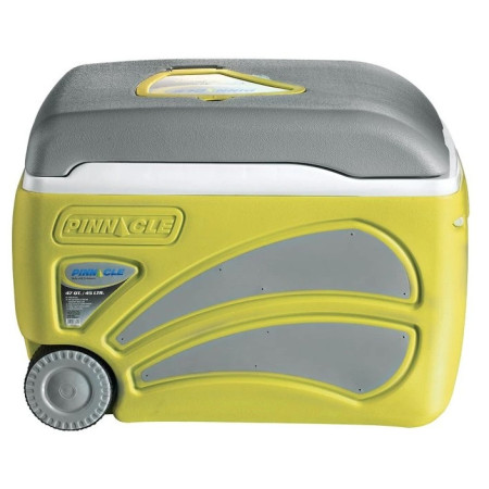 Frigorifero portatile Pinnacle Proxon 45L grigio/giallo Lime