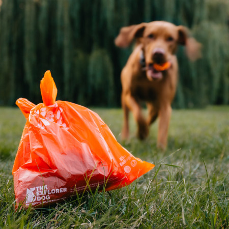 Sacchetti igienici per cani Explorer Dog Eko Exbags 60 ks
