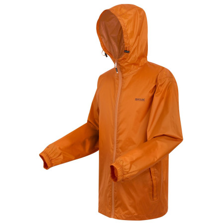 Giacca da uomo Regatta Pack It Jkt III