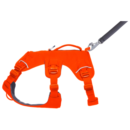 Pettorina per cane Ruffwear Web Master™ Harness