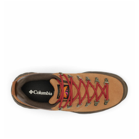 Scarpe da uomo Columbia Newton Alpine™ Low