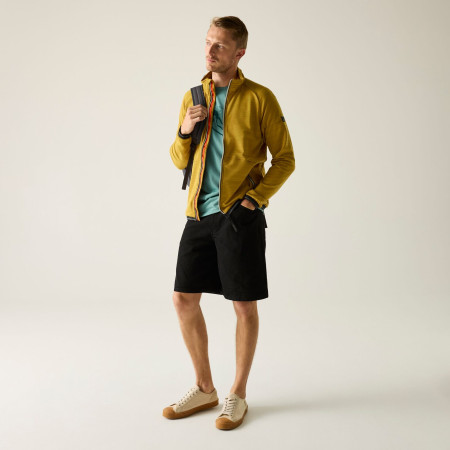 Felpa da uomo Regatta Malton