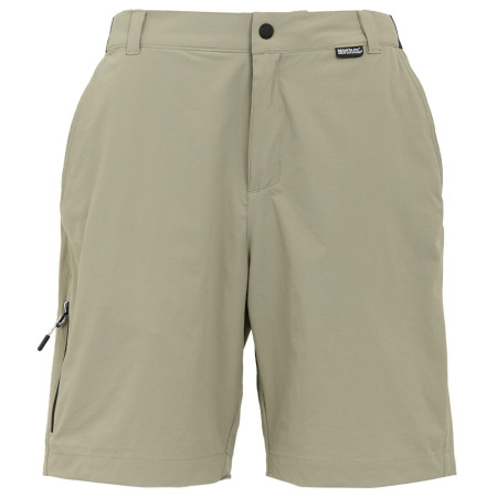 Pantaloncini da uomo Regatta Travel Light Packaway Shorts