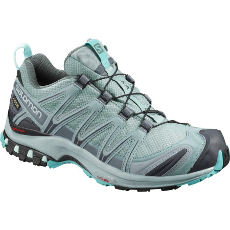Scarpe da donna Salomon Xa Pro 3D Gtx® W grigio Leader