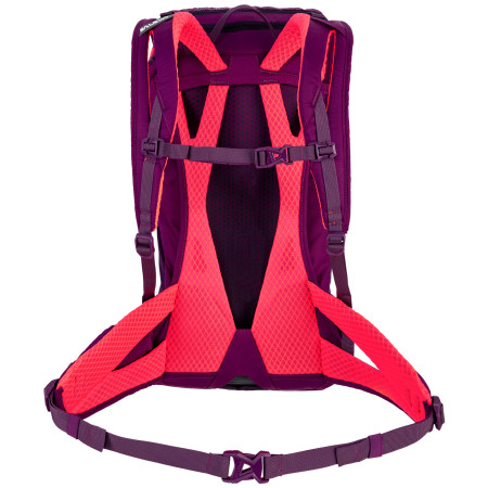 Zaino Salewa Alp Trainer 20 Ws