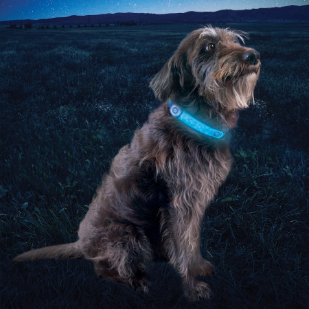 Collare luminoso per cane Nite Ize NiteDog® Rechargeable LED Collar Cover