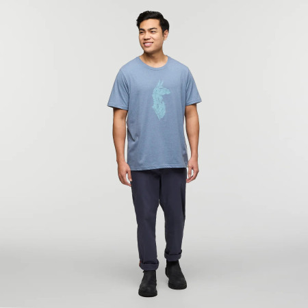 Maglietta da uomo Cotopaxi Into the Pines T-Shirt